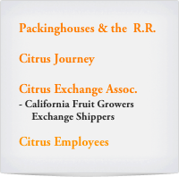 Packinghouses & the  R.R.

Citrus Journey

Citrus Exchange Assoc.
California Fruit Growers   
     Exchange Shippers

Citrus Employees
