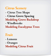 Citrus Scenery
Citrus Tree Shape
Citrus Grove Spacing
Modeling Grove Backdrop
Windbreaks
Modeling Eucalyptus Trees

Fruit
- Lemons
Oranges
Modeling Citrus Fruit